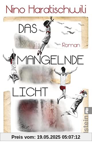 Das mangelnde Licht: Roman | Der jüngste Roman der großen georgisch-deutschen Erzählerin – wochenlang auf der Bestsellerliste und von Kritikern hoch gelobt