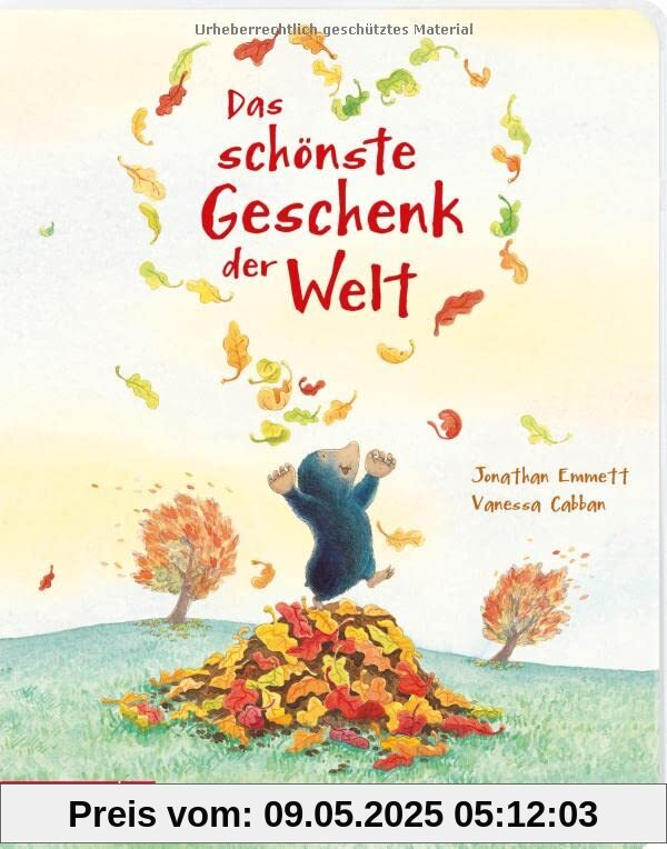 Das schönste Geschenk der Welt - Ein Pappbilderbuch über wahre Freundschaft