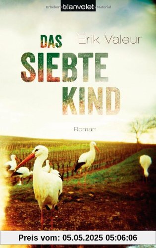 Das siebte Kind: Roman