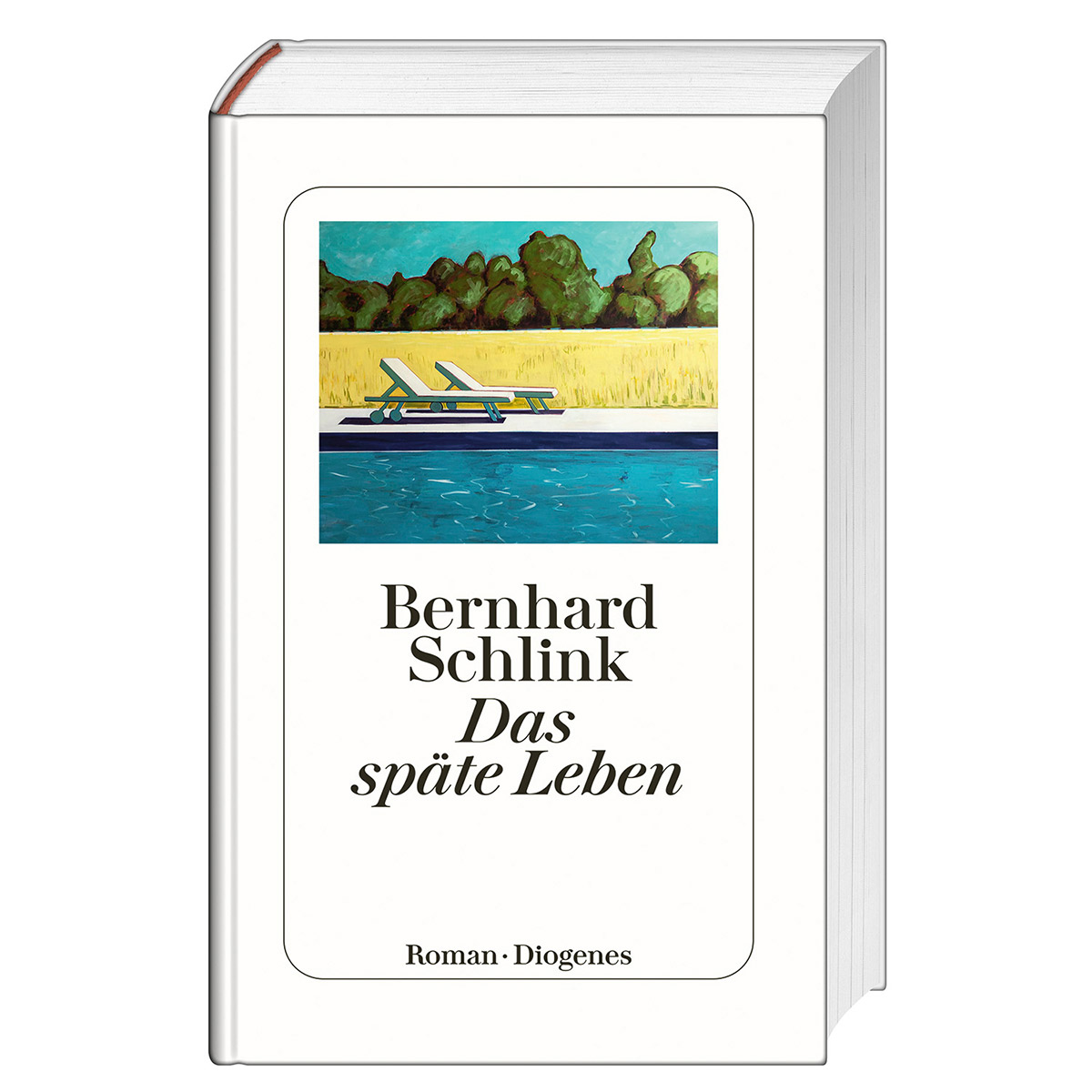 Das späte Leben Das späte Leben von Diogenes Verlag AG