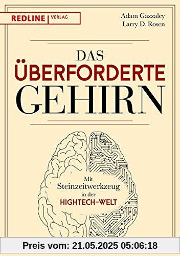 Das überforderte Gehirn: Mit Steinzeitwerkzeug in der Hightech-Welt