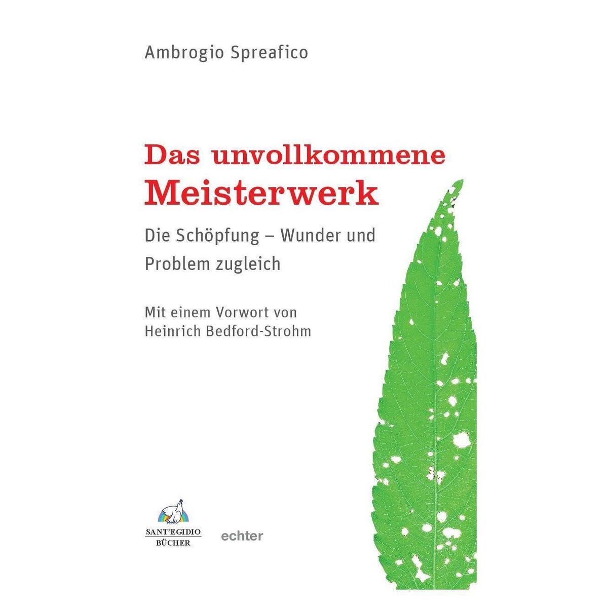Das unvollkommene Meisterwerk von Echter Verlag GmbH