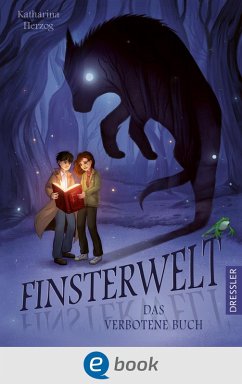 Das verbotene Buch / Finsterwelt Bd.1 (eBook, ePUB) von Dressler Verlag