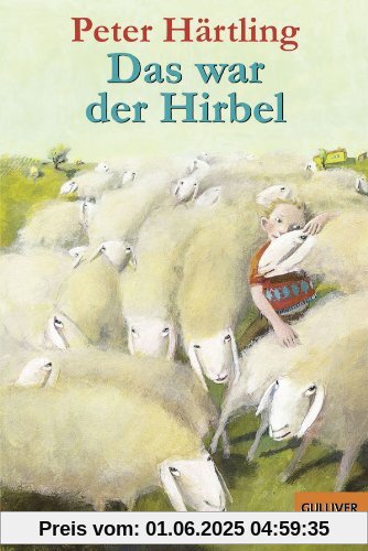 Das war der Hirbel: Wie der Hirbel ins Heim kam, warum er anders ist als andere und ob ihm zu helfen ist (Gulliver)