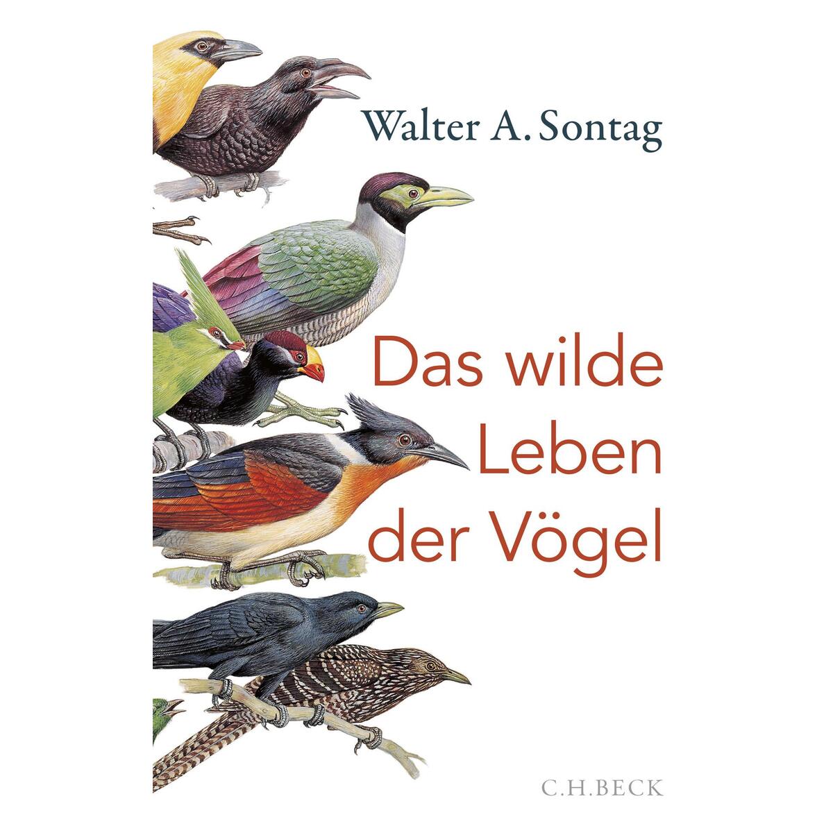 Das wilde Leben der Vögel Das wilde Leben der Vögel von C.H. Beck