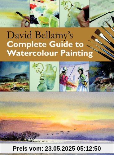 David Bellamy's Complete Guide to Watercolour Painting