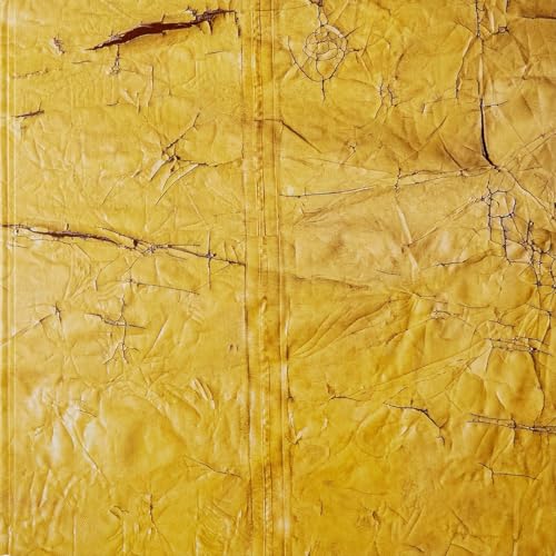 David Hammons von Hauser & Wirth