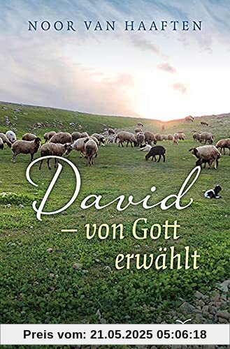 David - von Gott erwählt