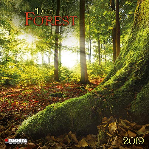 Deep Forest 2024: Kalender 2024 (Wonderful World) von Tushita PaperArt
