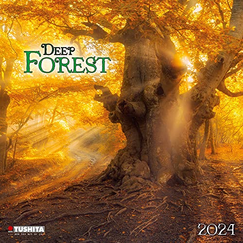 Deep Forest 2024: Kalender 2024 (Wonderful World) von Tushita PaperArt