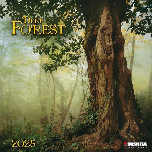 Deep Forest 2025: Kalender 2025 (Wonderful World)