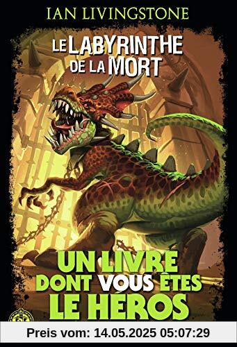 Défis fantastiques, Tome 5 : Le Labyrinthe de la Mort