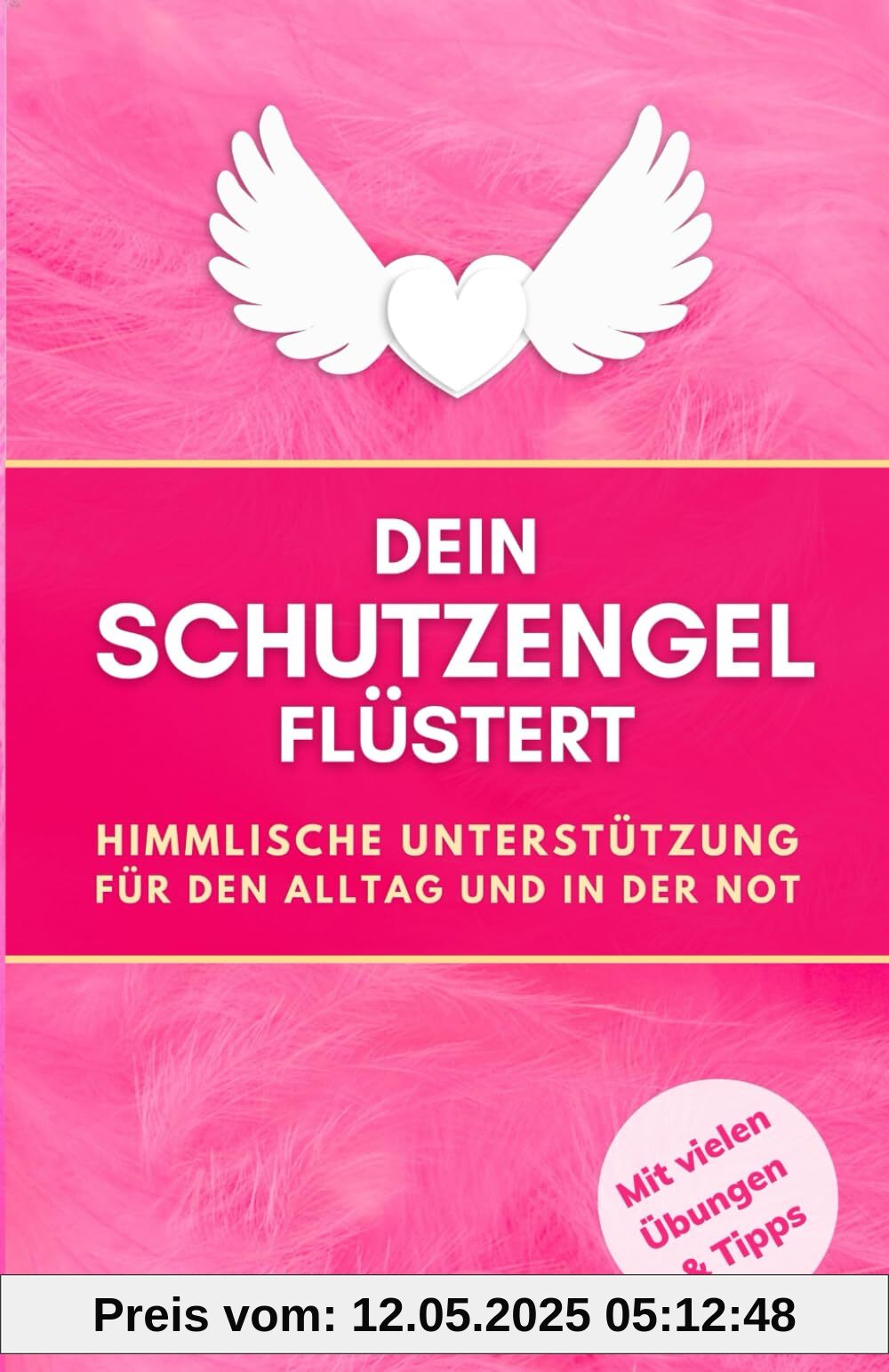 Dein Schutzengel flüstert: Himmlische Hilfe im Alltag und in der Not