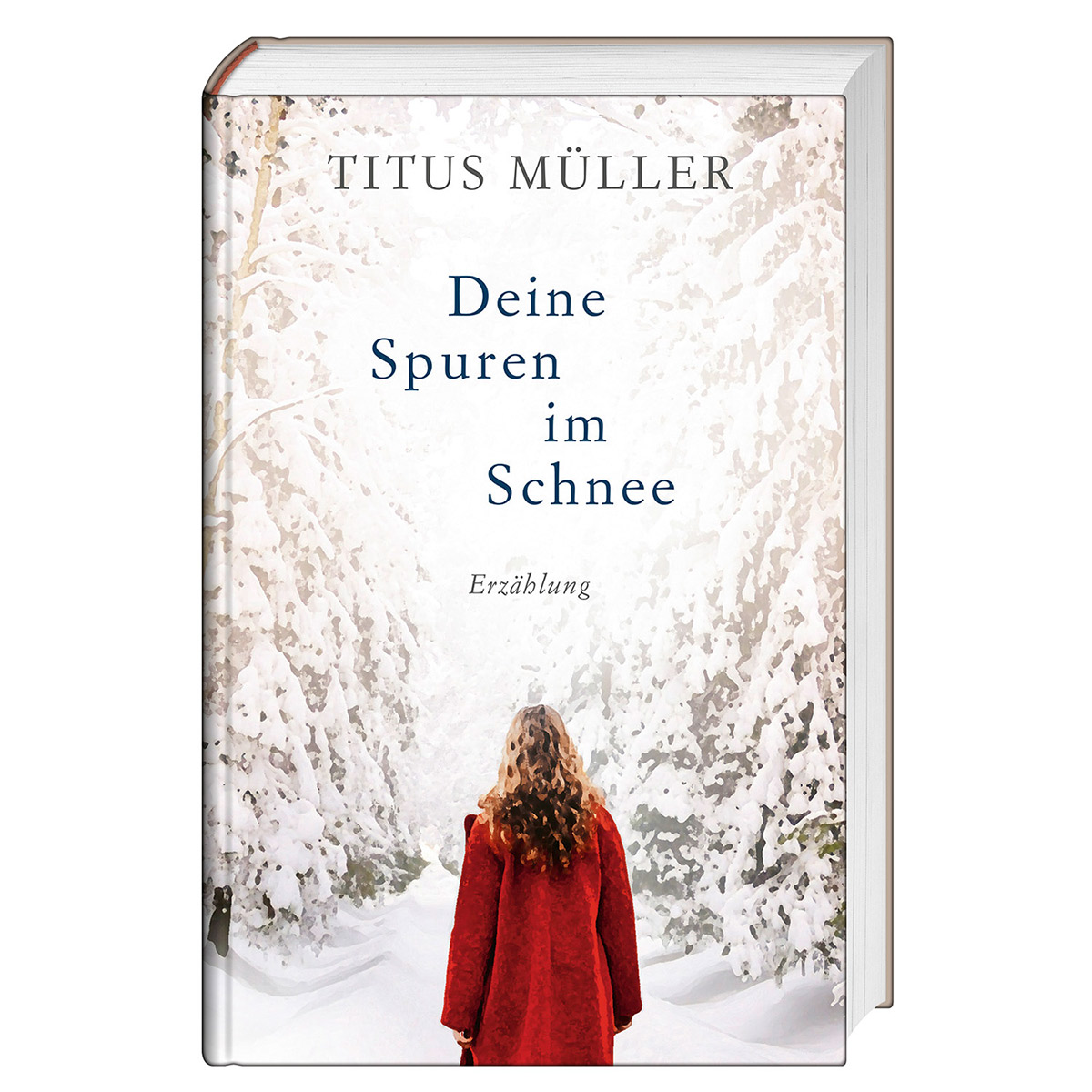Deine Spuren im Schnee von Gerth Medien