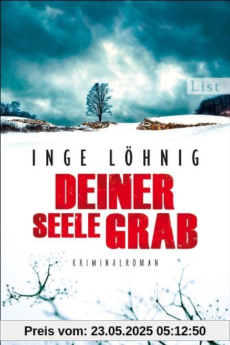 Deiner Seele Grab: Kommissar Dühnforts sechster Fall (Ein Kommissar-Dühnfort-Krimi, Band 6)