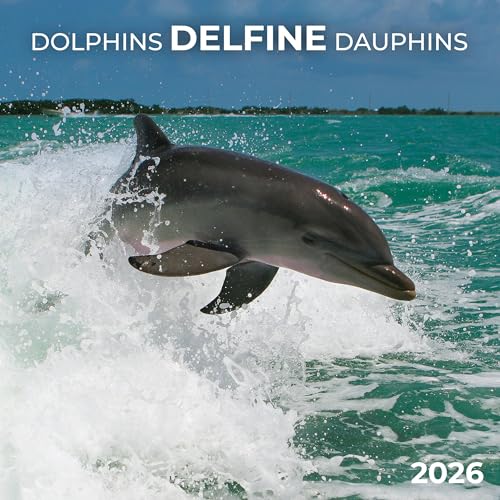 Delfine/Dolphins 2026: Kalender 2026 (Artwork Edition) von Tushita PaperArt