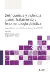Delincuencia y violencia juvenil: tratamiento y fenomenología delictiva Delincuencia y violencia juvenil: tratamiento y fenomenología delictiva von LA LEY