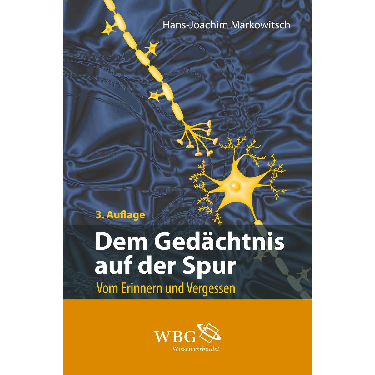 Dem Gedächtnis auf der Spur Dem Gedächtnis auf der Spur von wbg academic