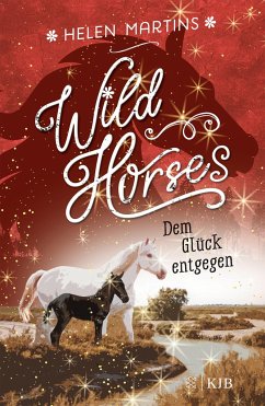 Dem Glück entgegen / Wild Horses Bd.3 von FISCHER KJB