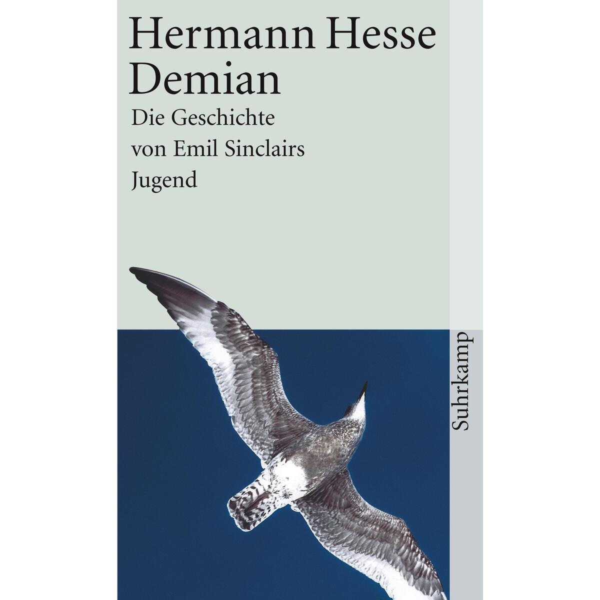 Demian Demian von Suhrkamp Verlag