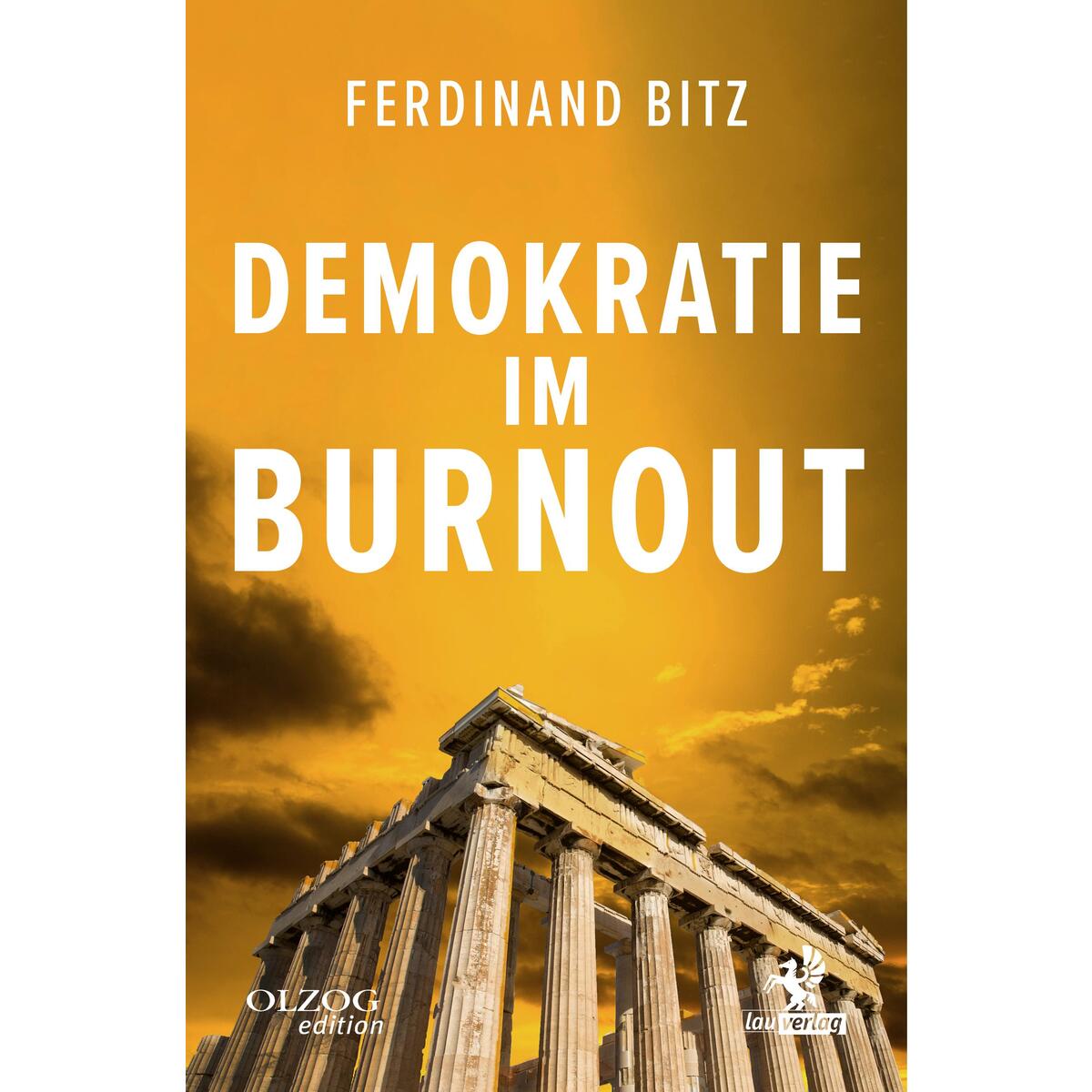 Demokratie im Burnout von Olzog