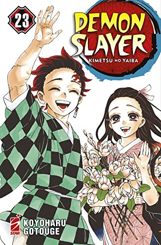 Demon slayer. Kimetsu no yaiba (Vol. 23) (Big)