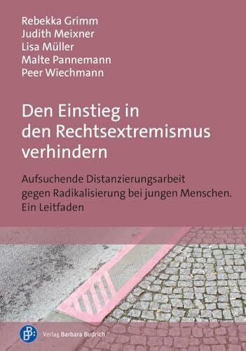Den Einstieg in den Rechtsextremismus verhindern: Aufsuchende Distanzierungsarbeit gegen Radik...