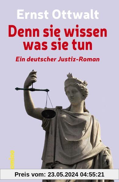 Denn sie wissen was sie tun: Ein deutscher Justiz-Roman