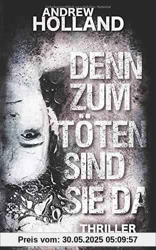 Denn zum Töten sind sie da: Ein Howard-Caspar-Thriller (Howard-Caspar-Reihe, Band 10)