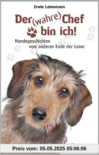 Der (wahre) Chef bin ich!: Hundegeschichten vom anderen Ende der Leine