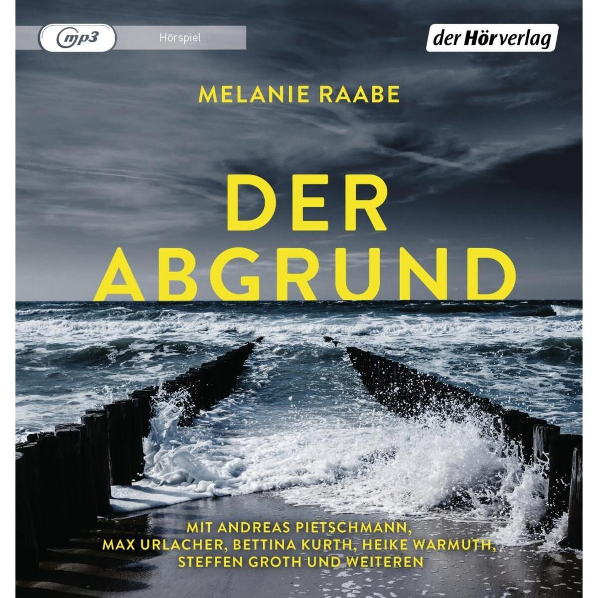Der Abgrund von Hoerverlag DHV Der