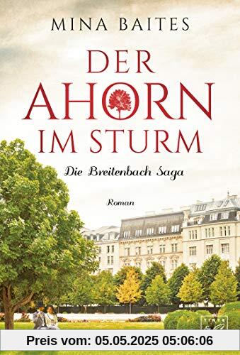 Der Ahorn im Sturm (Die Breitenbach Saga, Band 2)