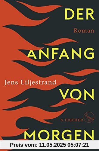 Der Anfang von morgen: Roman - Eine Hitzefront liegt über Europa. Das Buch zum Thema, das uns alle verbindet