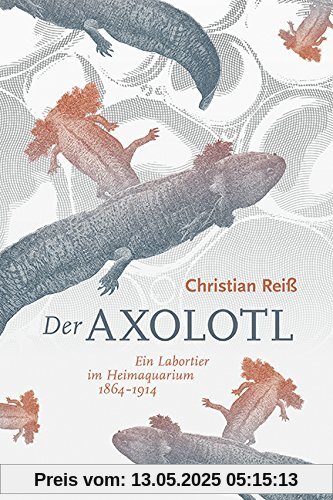 Der Axolotl: Ein Labortier im Heimaquarium 1864 -1914