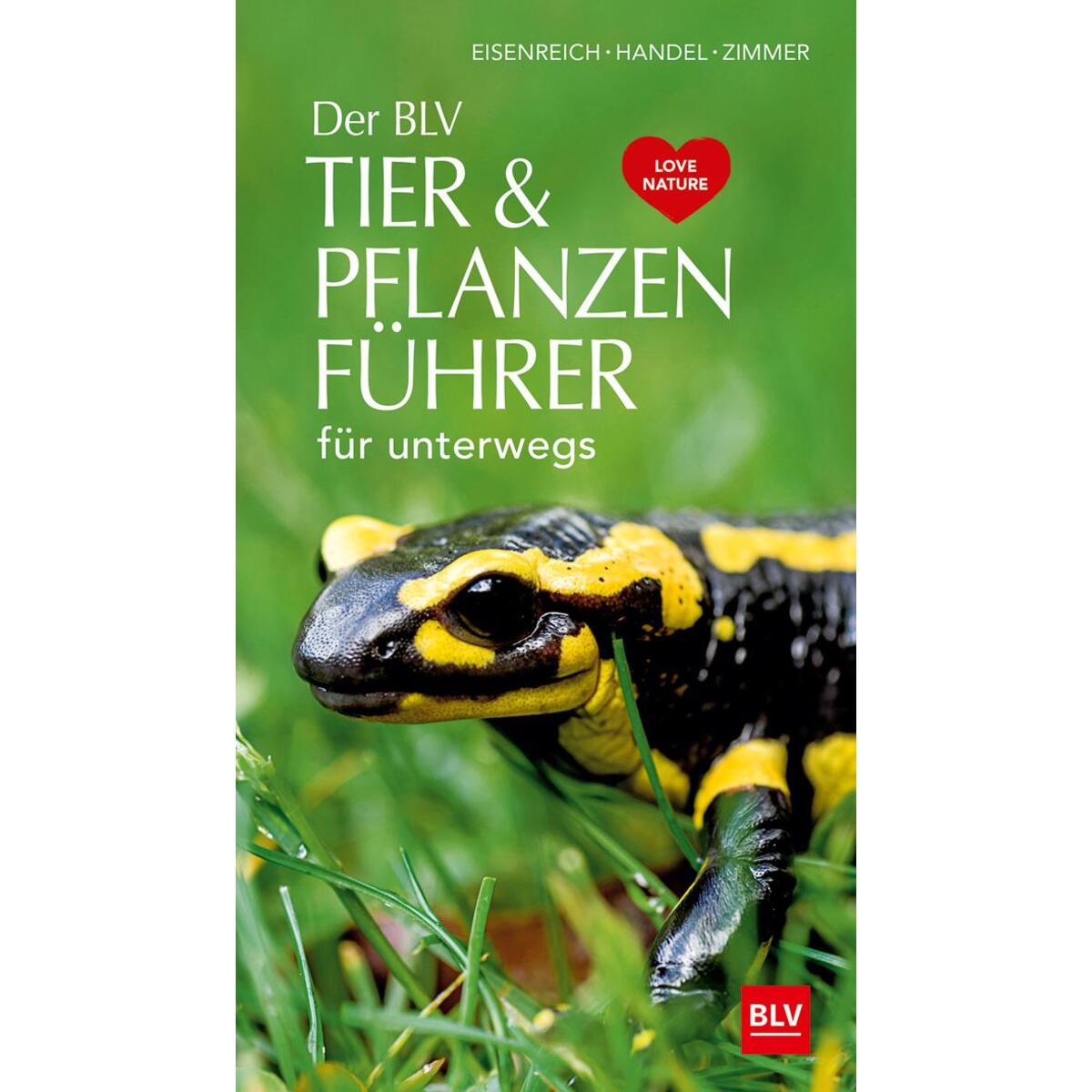 Der BLV Tier & Pflanzenführer von Blv