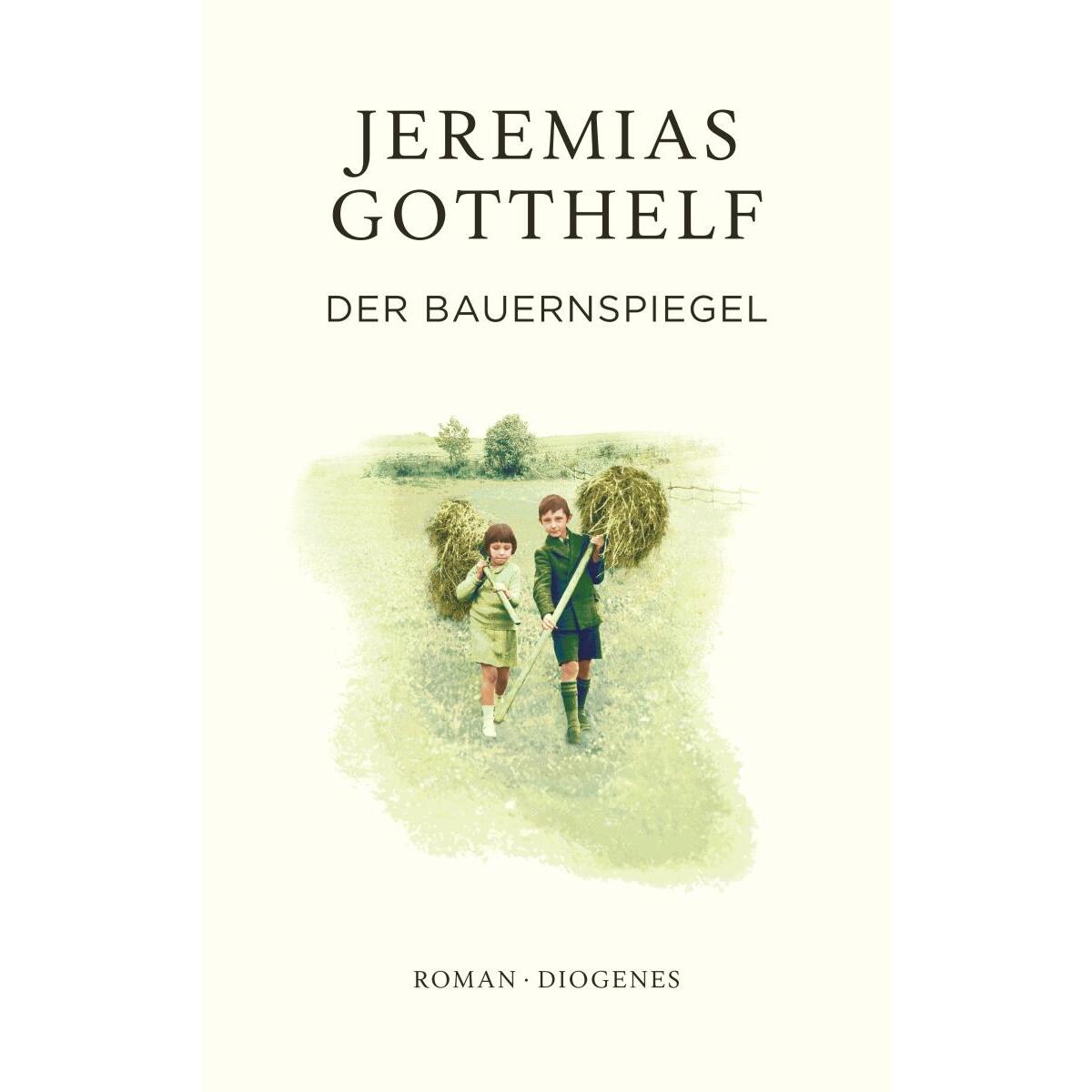 Der Bauernspiegel von Diogenes Verlag AG
