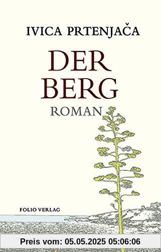 Der Berg (Transfer Bibliothek)