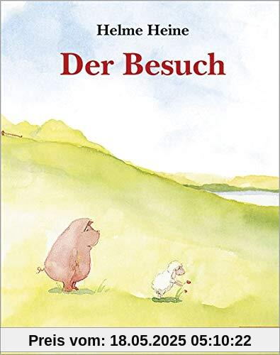 Der Besuch: Vierfarbiges Bilderbuch