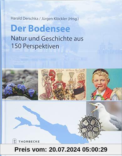 Der Bodensee - Natur und Geschichte aus 150 Perspektiven: Jubiläumsband des internationalen Vereins für Geschichte des Bodensees und seiner Umgebung 1868-2018