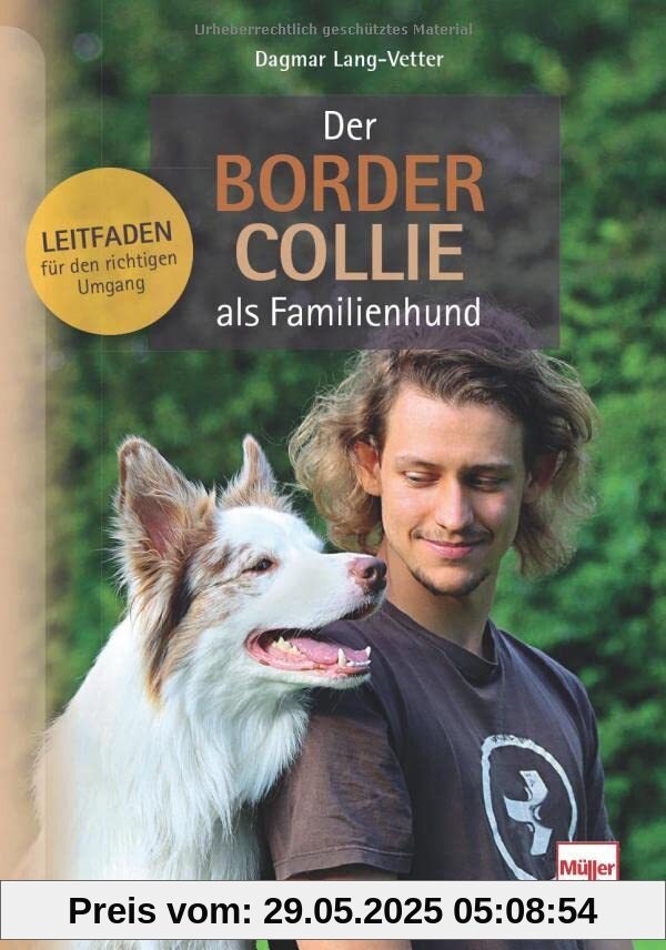 Der Border Collie als Familienhund: Leitfaden für den richtigen Umgang