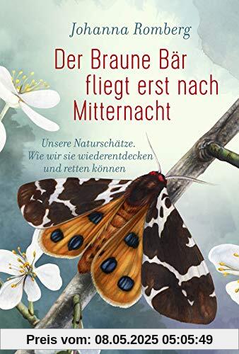 Der Braune Bär fliegt erst nach Mitternacht: Unsere Naturschätze. Wie wir sie wiederentdecken und retten können