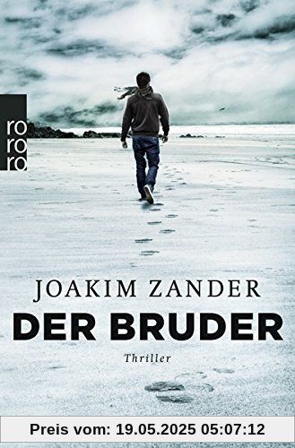 Der Bruder (Klara Walldéen, Band 2)