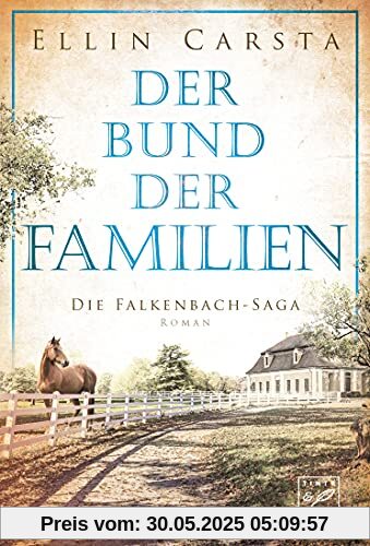 Der Bund der Familien (Die Falkenbach-Saga, 3)