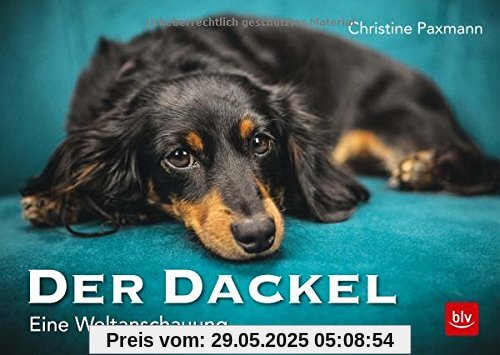 Der Dackel: Eine Weltanschauung