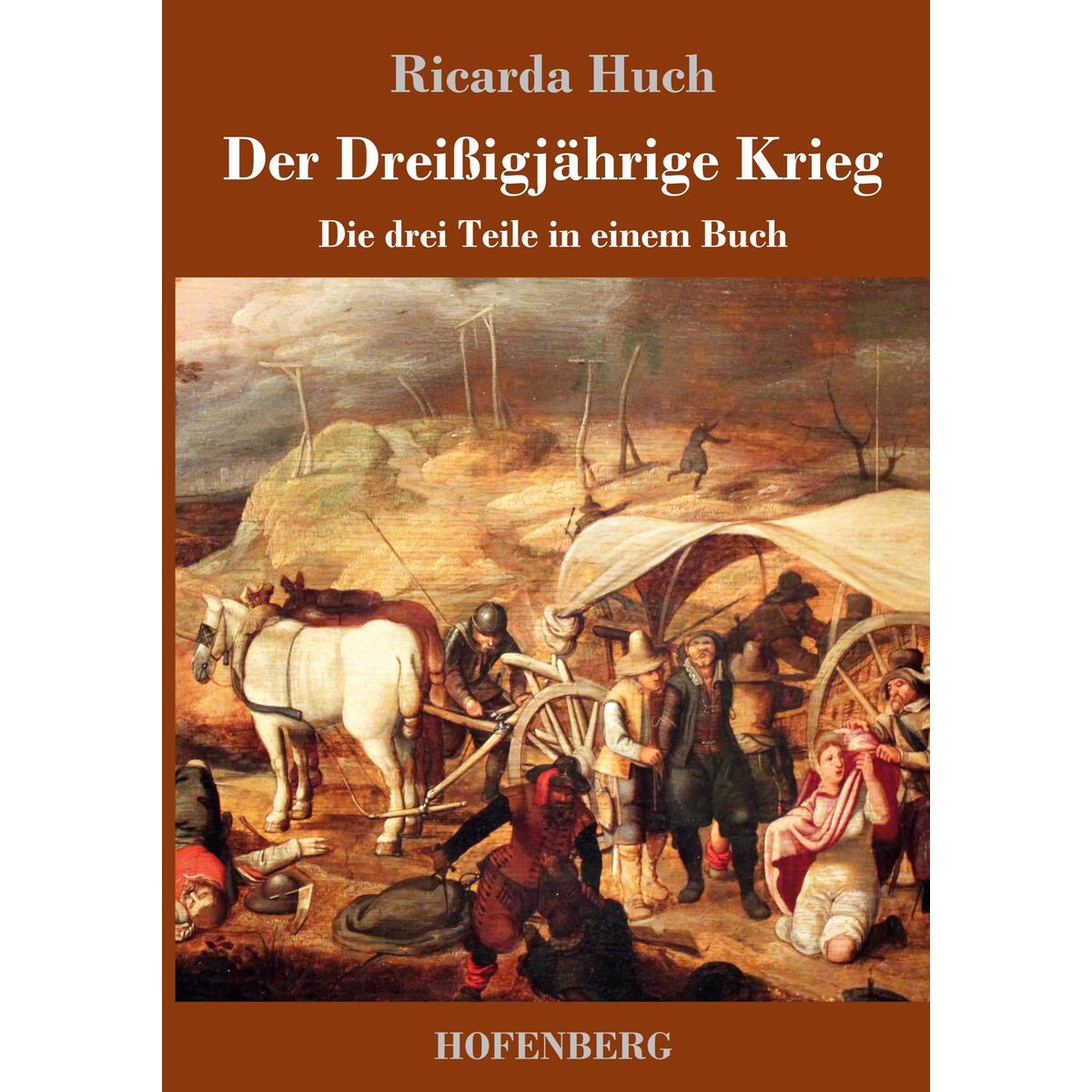 Der Dreißigjährige Krieg von Hofenberg