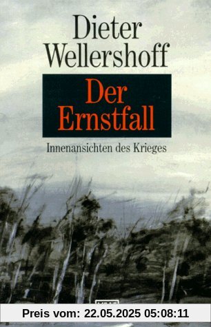 Der Ernstfall: Roman: Innenansichten des Krieges