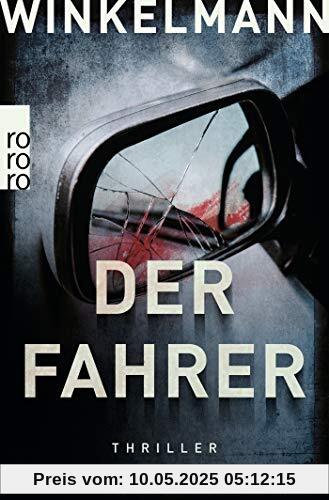 Der Fahrer (Kerner und Oswald, Band 3)