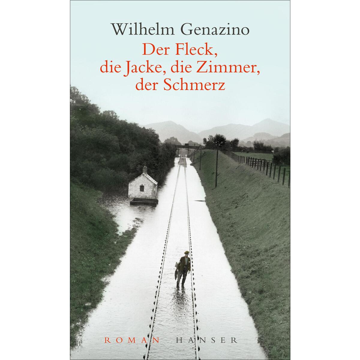 Der Fleck, die Jacke, die Zimmer, der Schmerz von Carl Hanser Verlag
