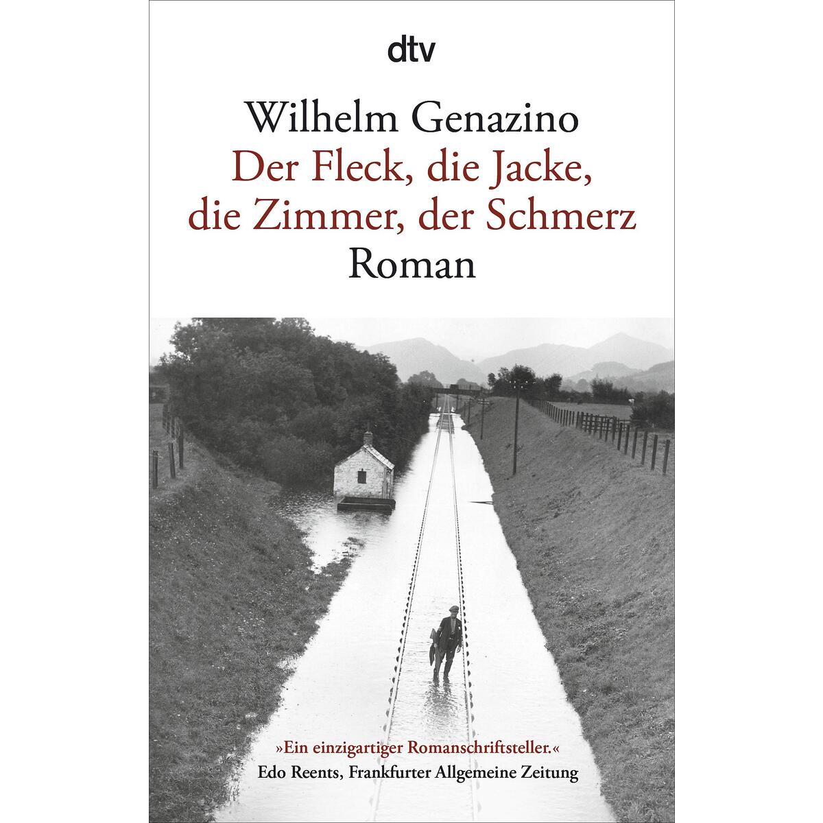 Der Fleck, die Jacke, die Zimmer, der Schmerz Der Fleck, die Jacke, die Zimmer, der Schmerz von dtv Verlagsgesellschaft