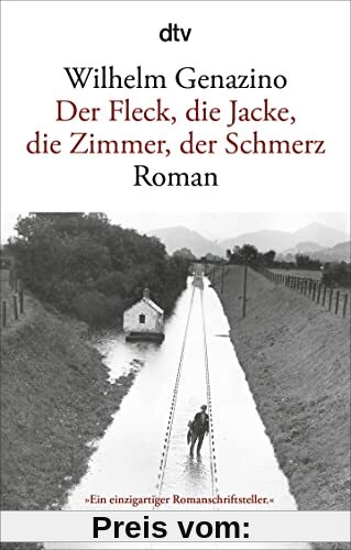 Der Fleck, die Jacke, die Zimmer, der Schmerz: »Genazino zauberte mit der Sprache.« Roman Bucheli, NZZ
